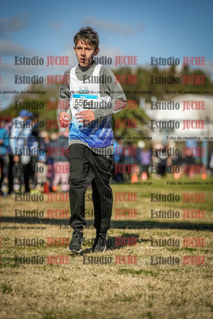 Fotos de las llegadas