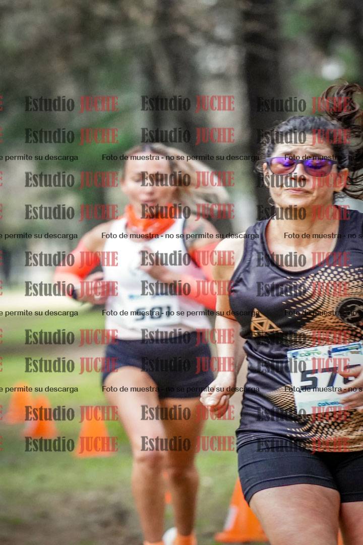 Fotos en el circuito