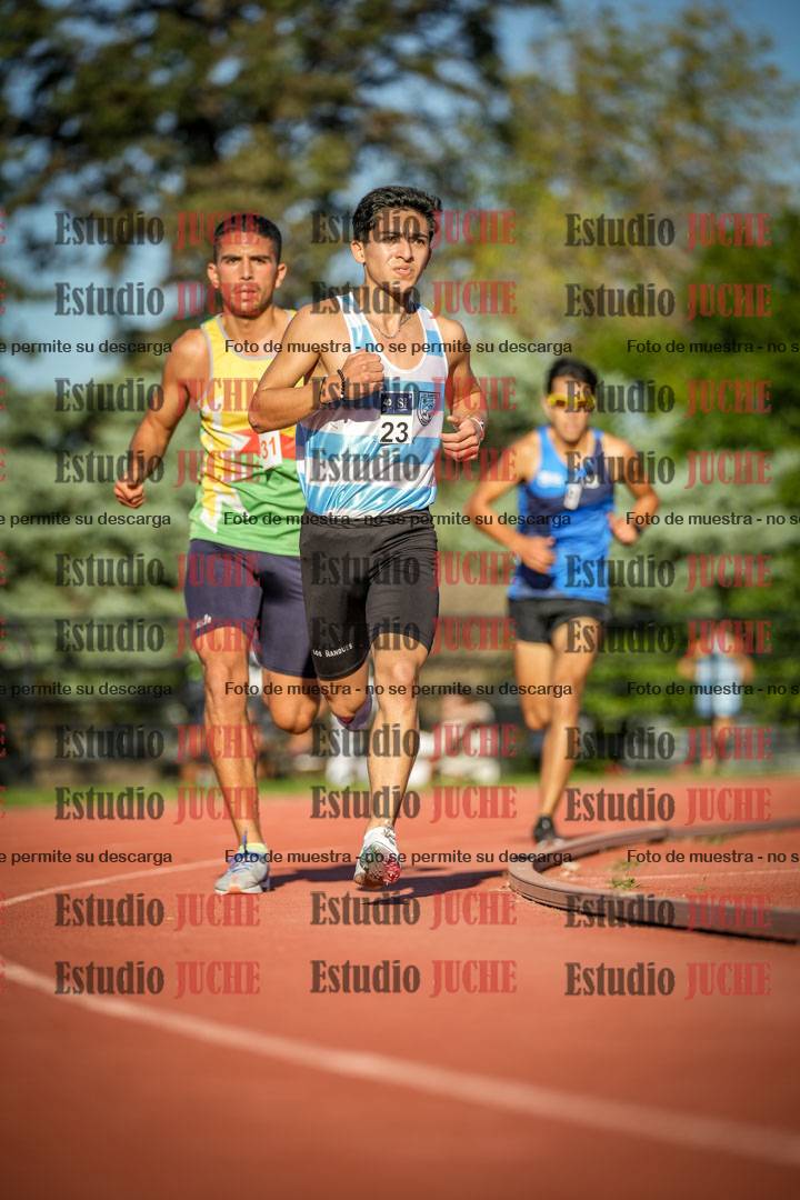 Fotos de los 3000 m llanos de varones
