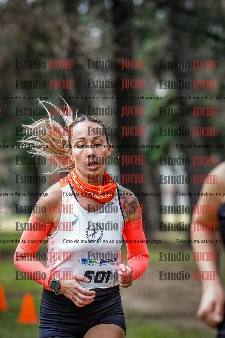 Fotos en el circuito