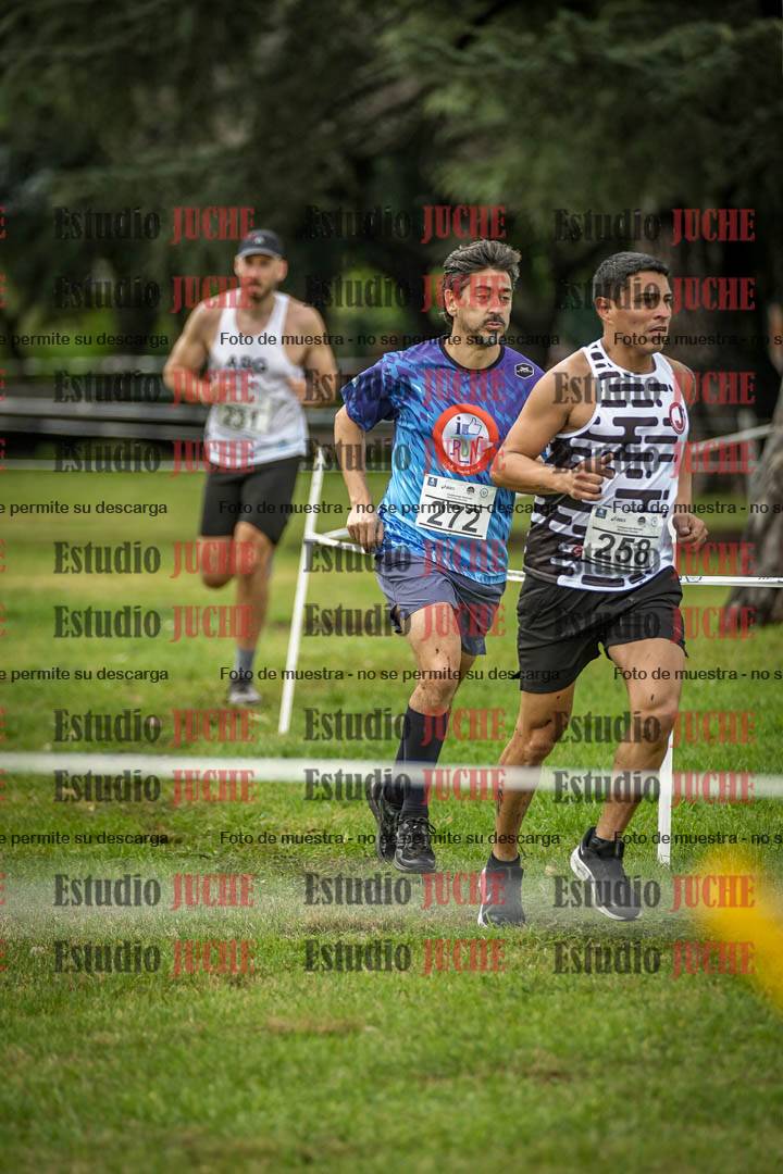 Fotos en el circuito