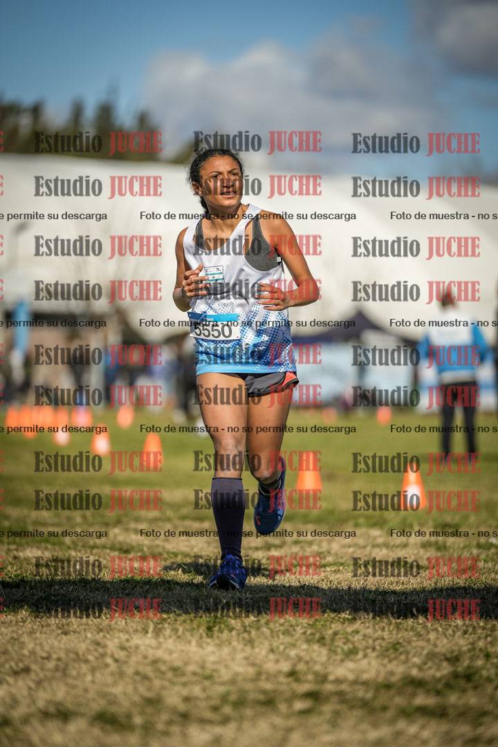 Fotos de las llegadas