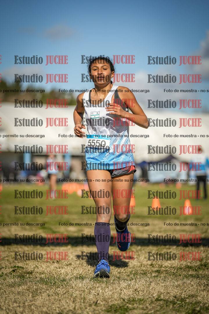 Fotos de las llegadas