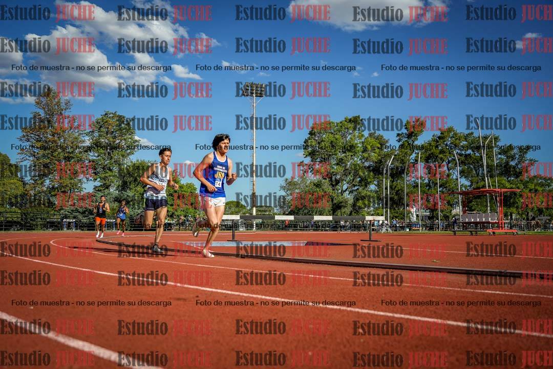 Fotos de los 3000 m llanos de varones