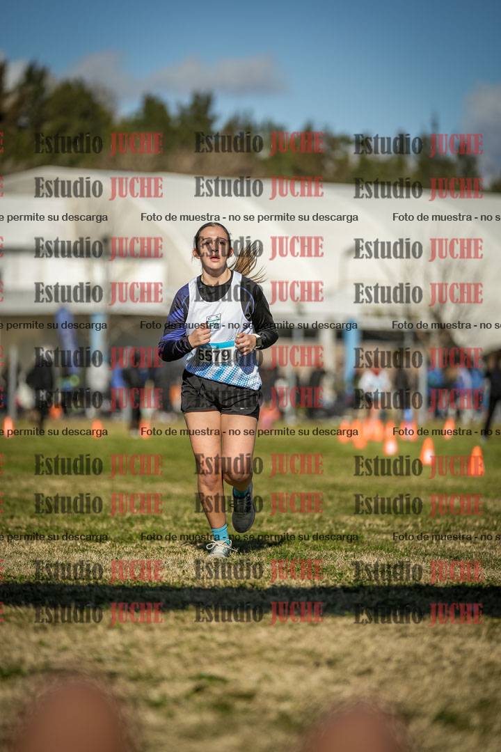 Fotos de las llegadas