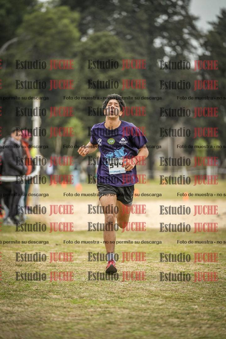 Fotos de la llegada