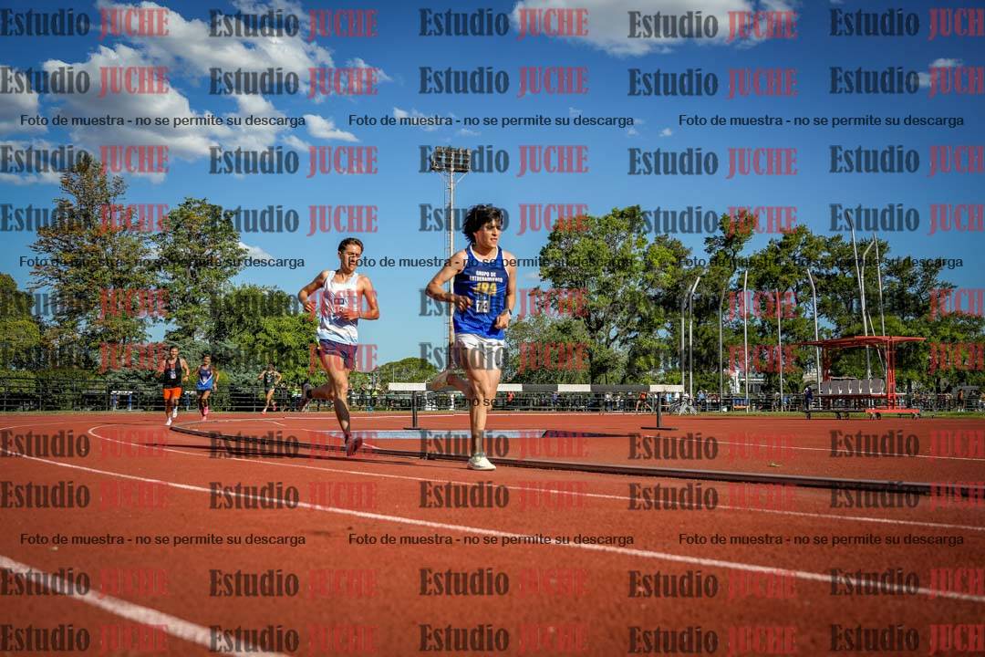 Fotos de los 3000 m llanos de varones