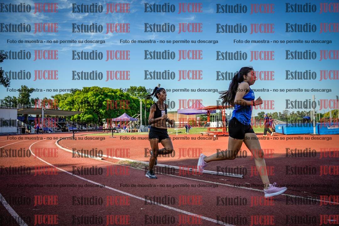 Fotos de los 1500 m llanos de mujeres