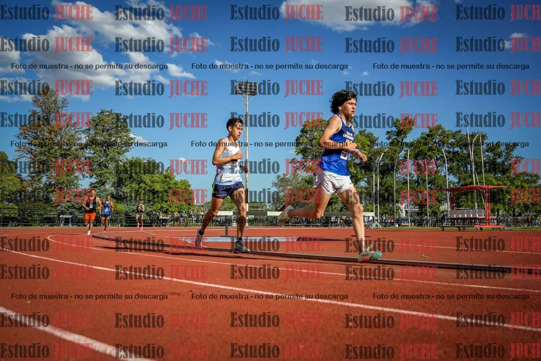 Fotos de los 3000 m llanos de varones