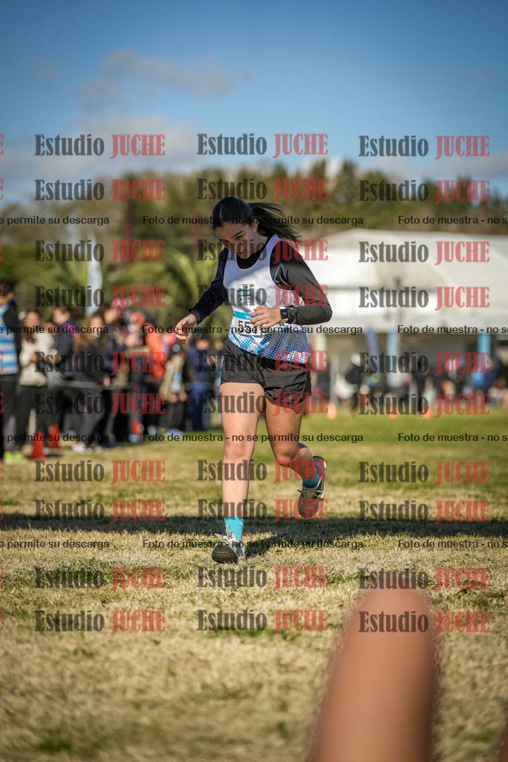 Fotos de las llegadas