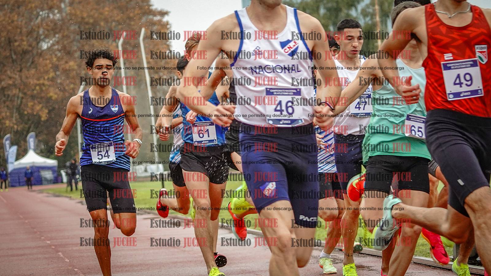 Fotos de los 1500 m llanos de varones