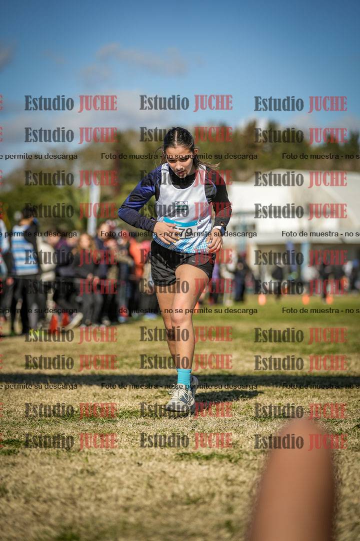 Fotos de las llegadas