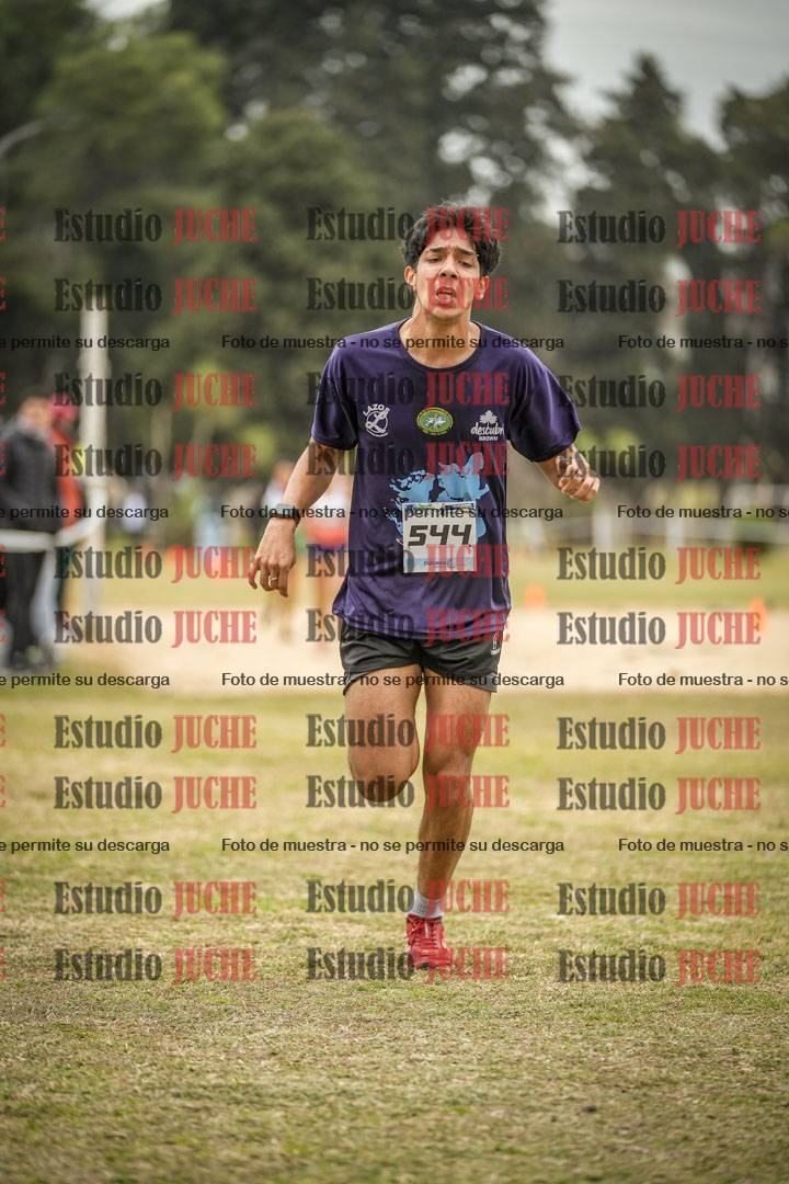 Fotos de la llegada