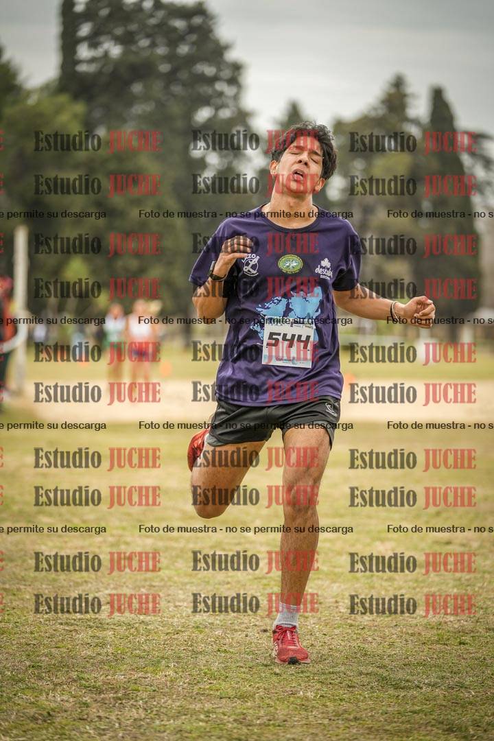 Fotos de la llegada
