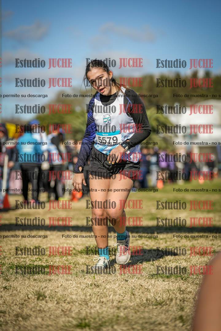 Fotos de las llegadas