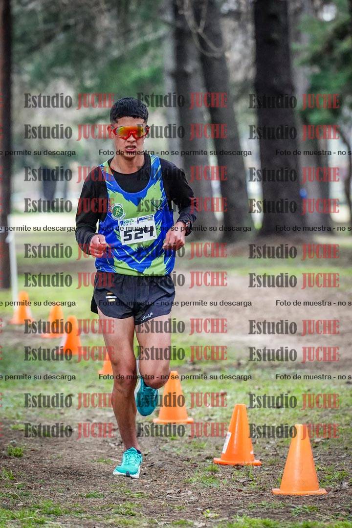 Fotos en el circuito