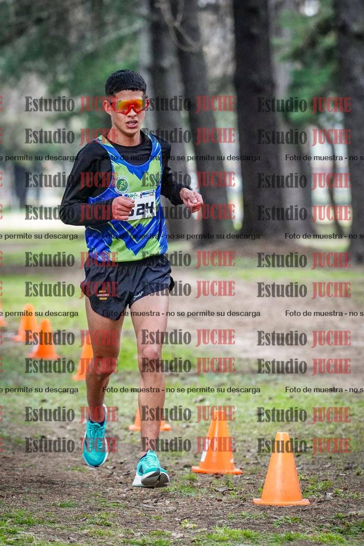 Fotos en el circuito