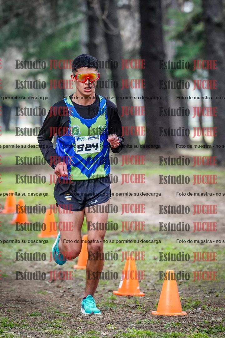 Fotos en el circuito