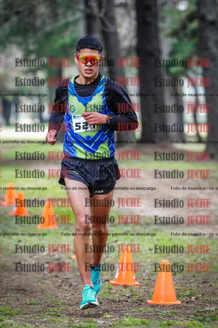 Fotos en el circuito