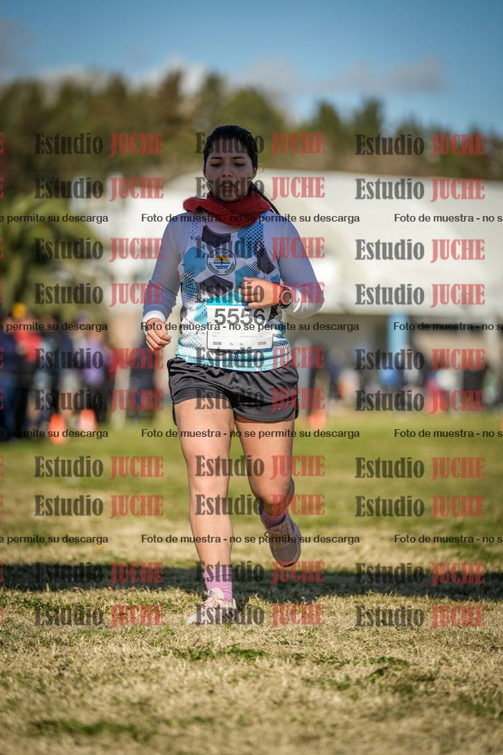 Fotos de las llegadas