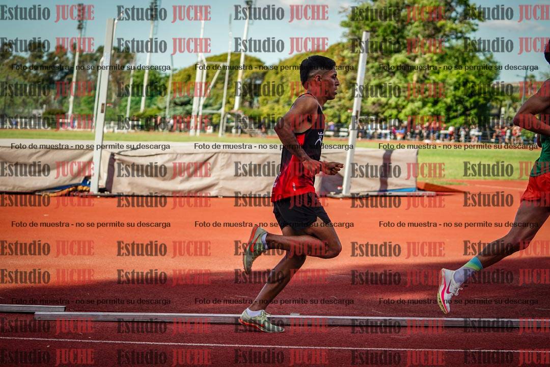 Fotos de los 3000 m llanos de varones