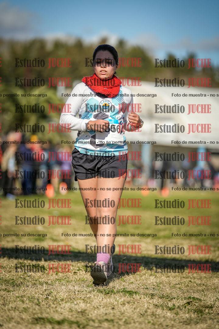 Fotos de las llegadas