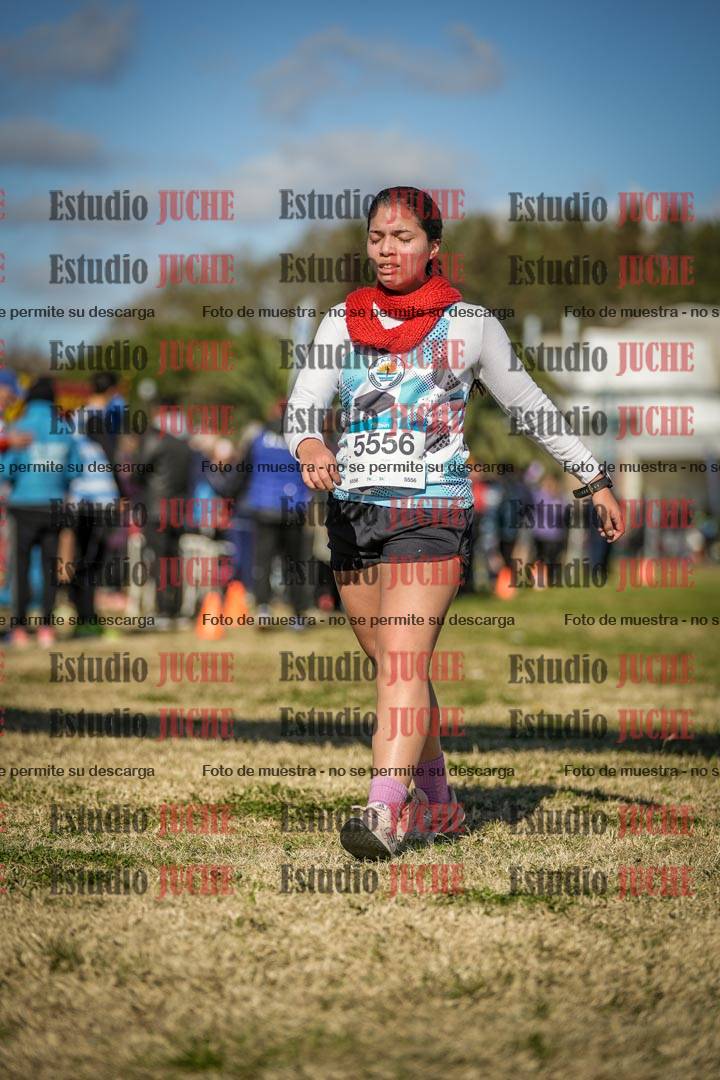 Fotos de las llegadas