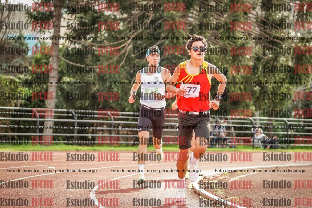 Fotos de los 3000 m llanos de varones