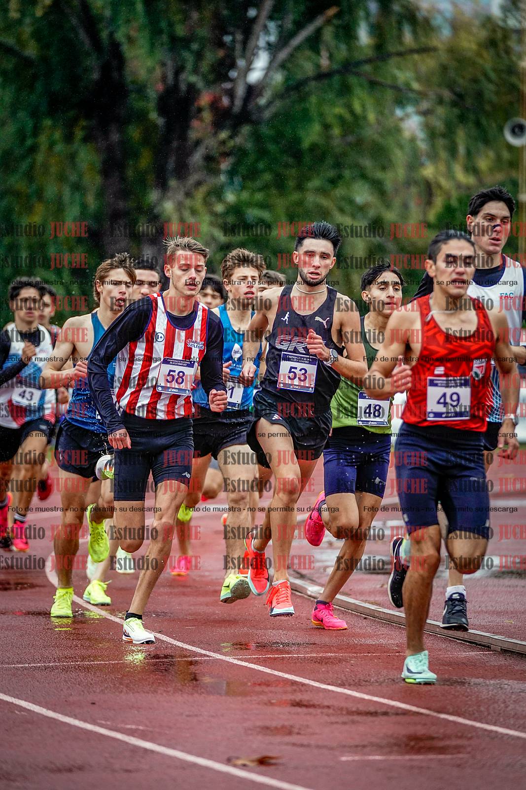 Fotos de los 1500 m llanos de varones