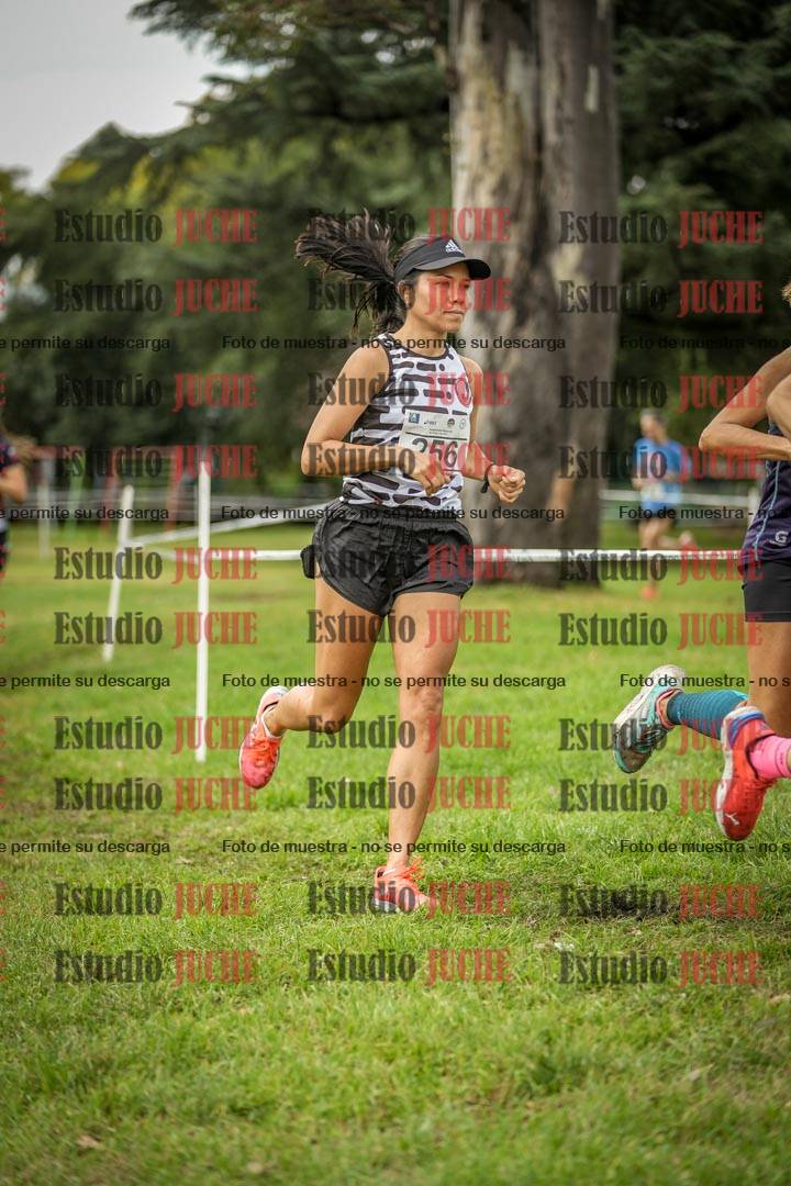 Fotos en el circuito