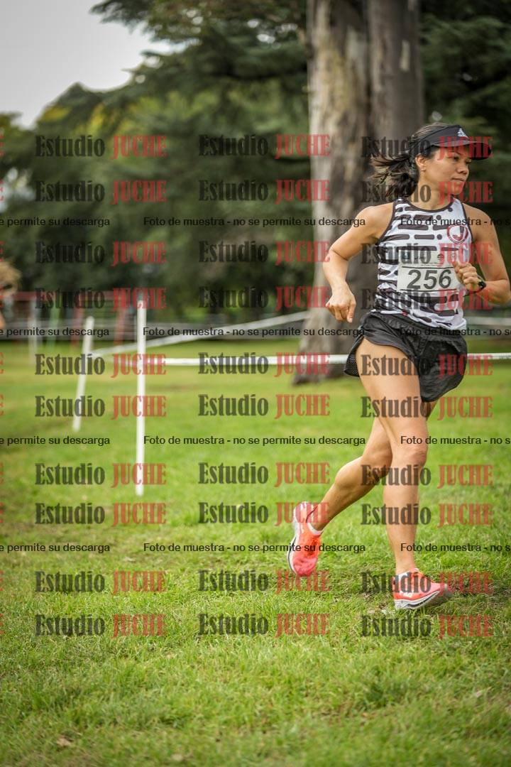 Fotos en el circuito
