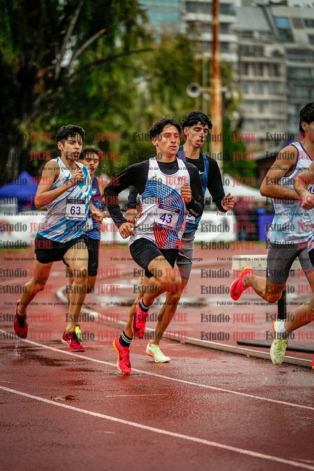 Fotos de los 1500 m llanos de varones
