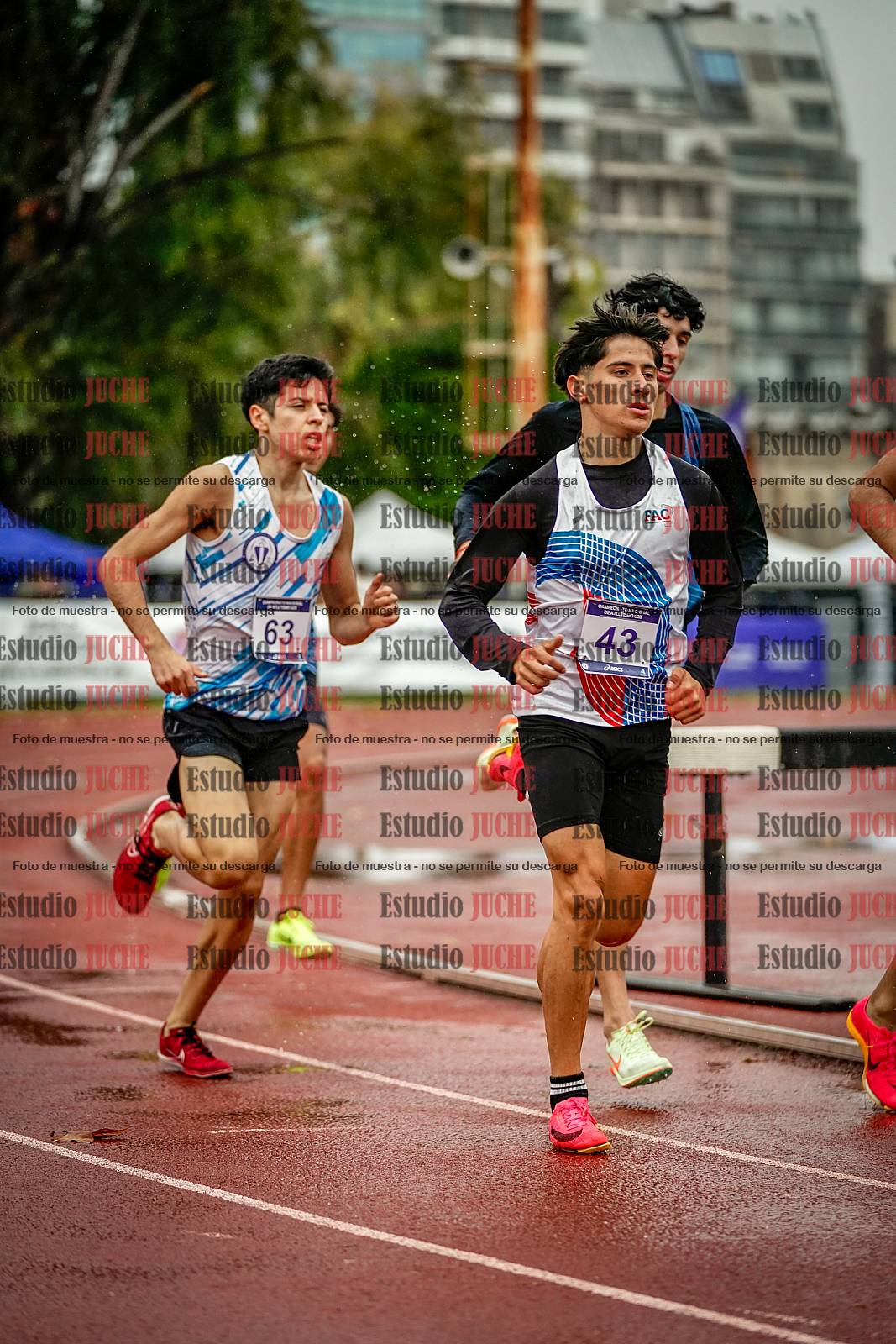 Fotos de los 1500 m llanos de varones