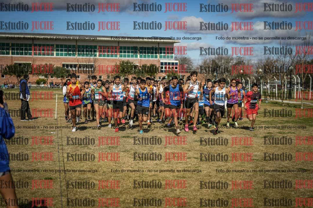 Fotos en de la largada