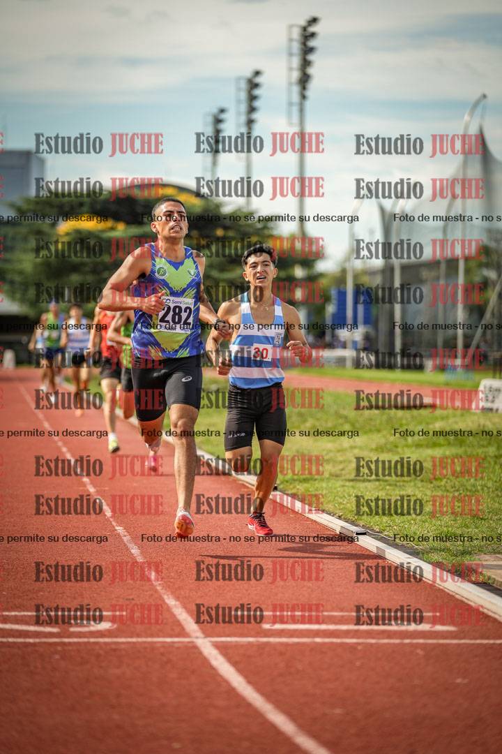 Fotos de los 800 m llanos de varones