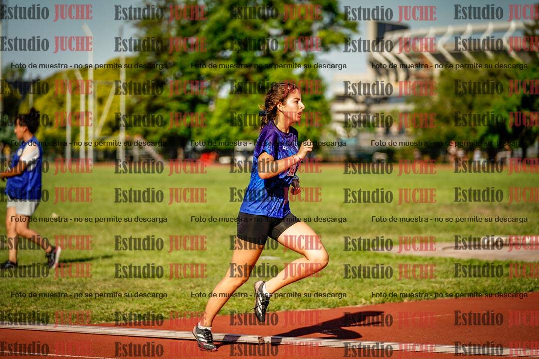 Fotos de los 1500 m llanos de mujeres