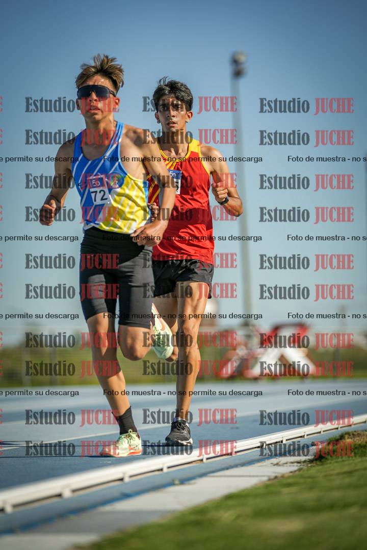 Fotos de los 3000 m llanos de varones