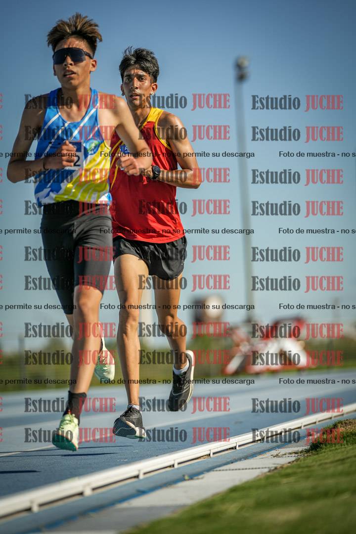 Fotos de los 3000 m llanos de varones
