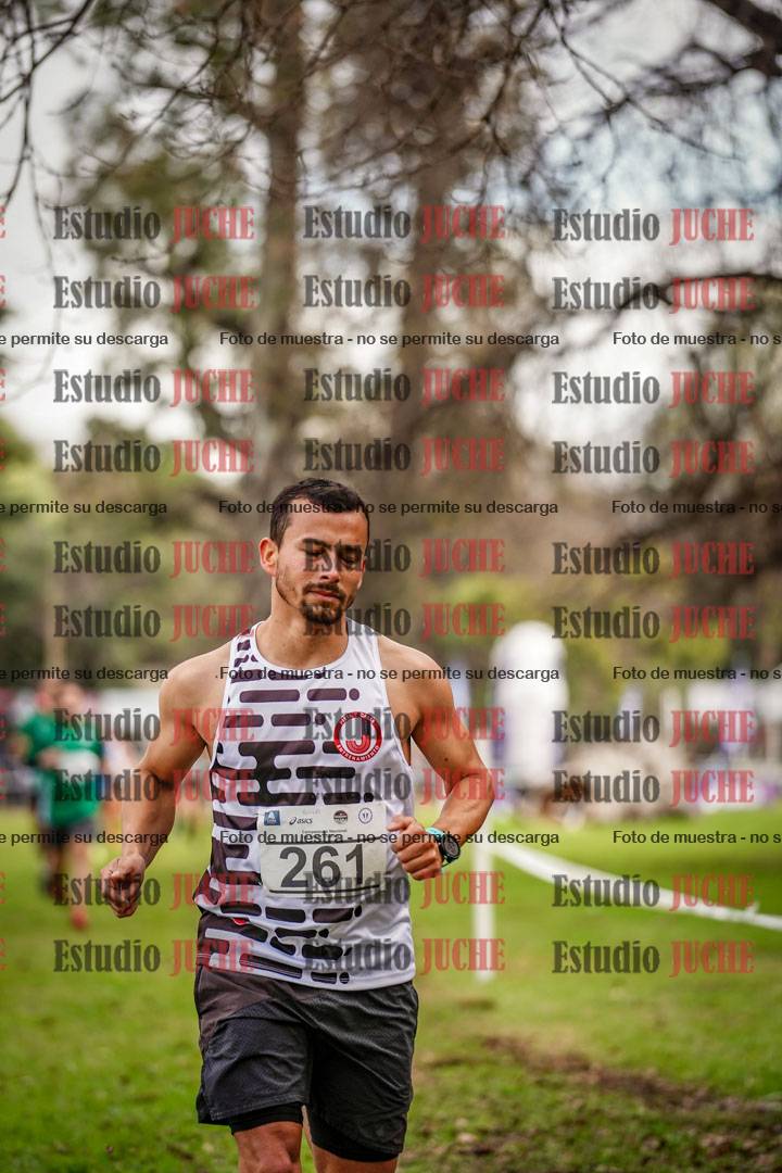 Fotos en el circuito
