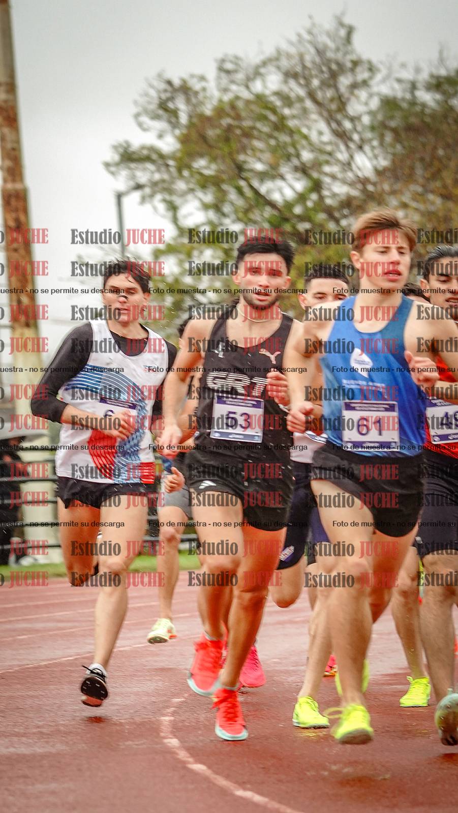 Fotos de los 1500 m llanos de varones