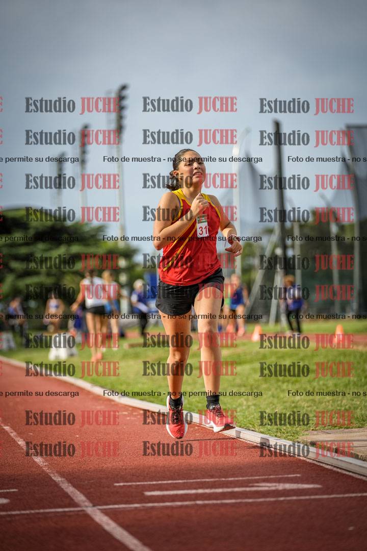 Fotos de los 3000 m llanos de mujeres