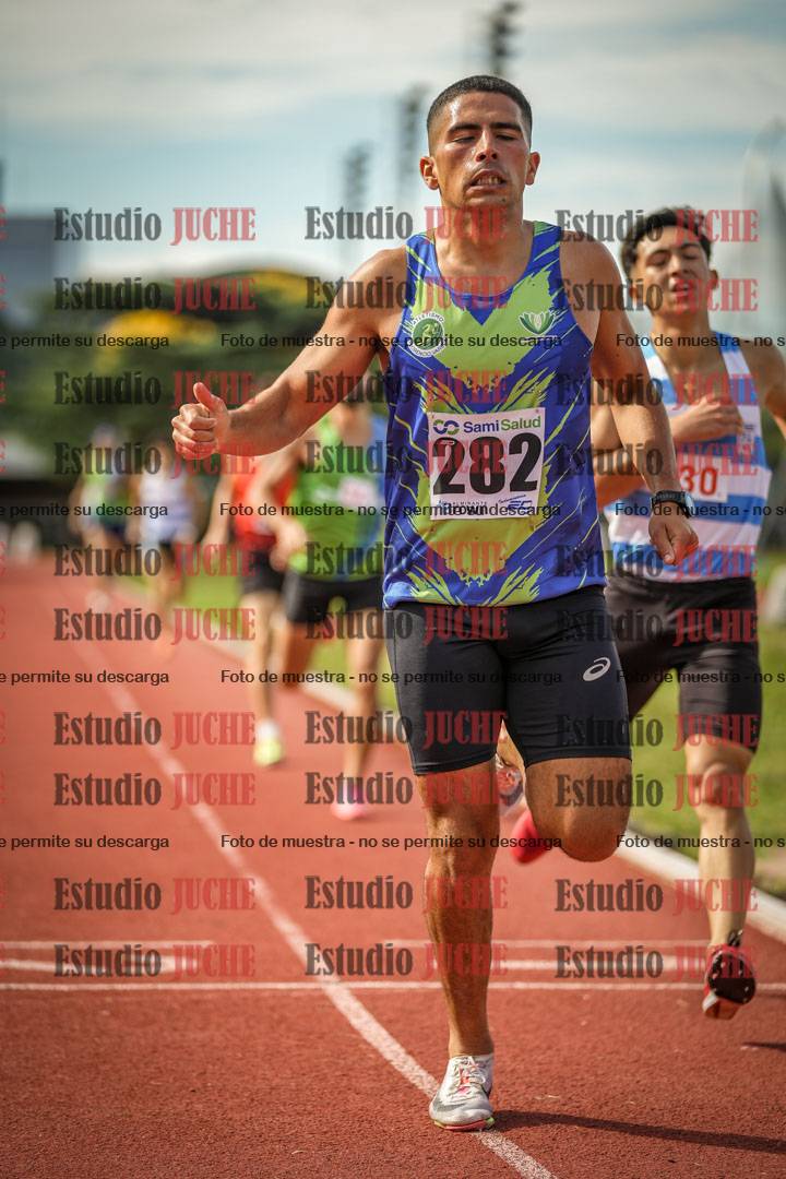 Fotos de los 800 m llanos de varones