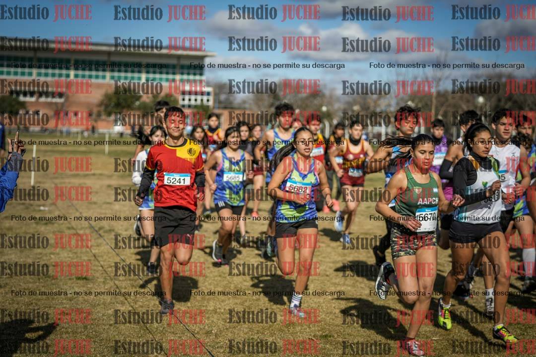 Fotos en de la largada