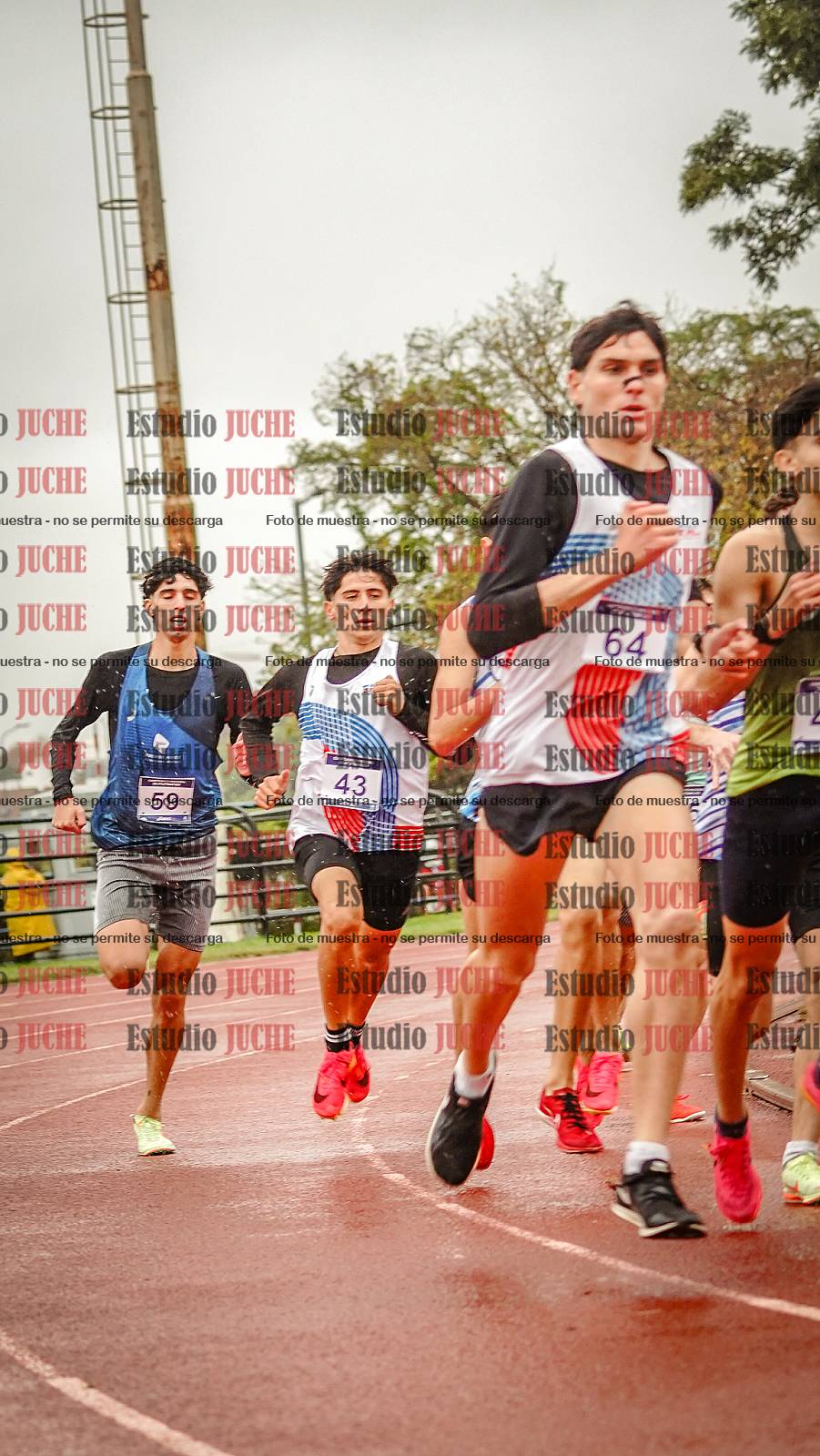 Fotos de los 1500 m llanos de varones