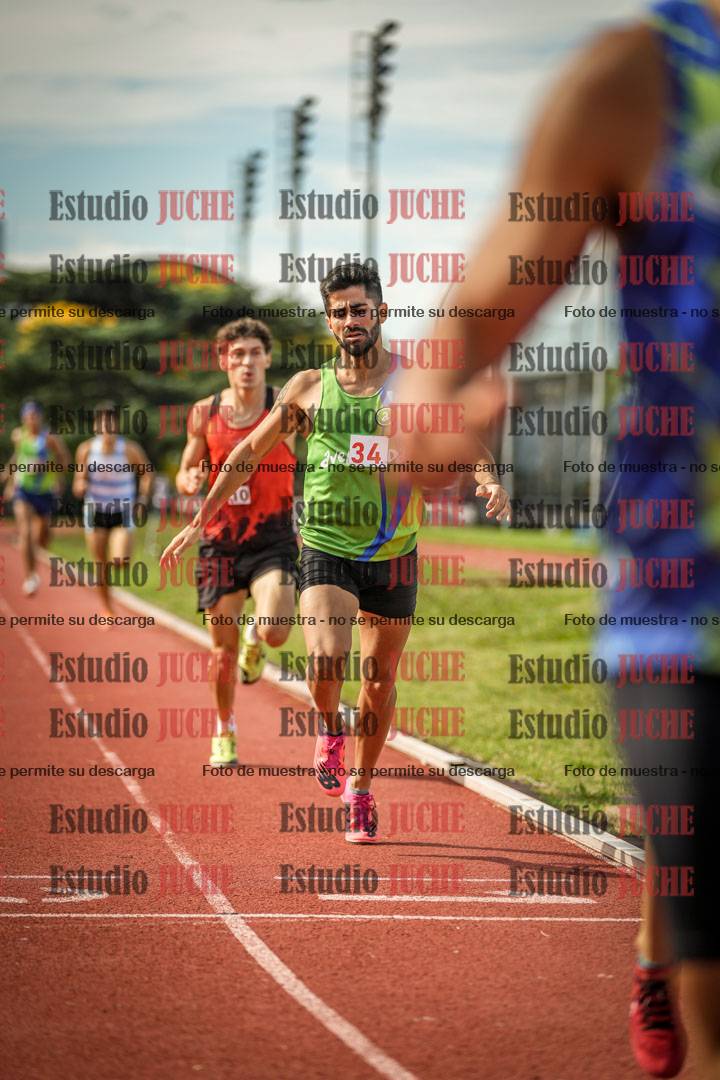 Fotos de los 800 m llanos de varones