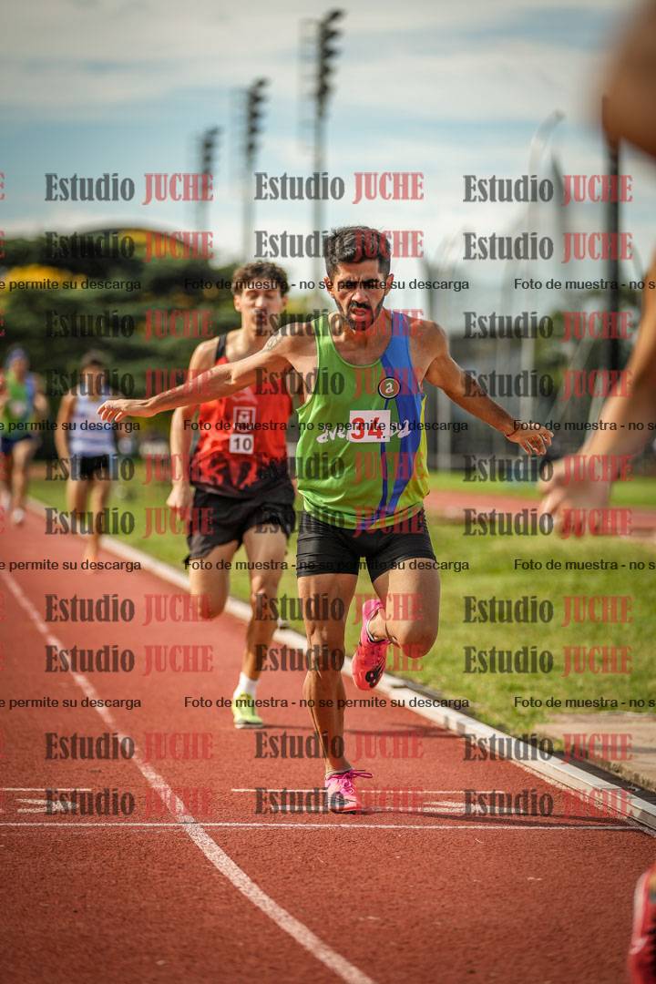 Fotos de los 800 m llanos de varones