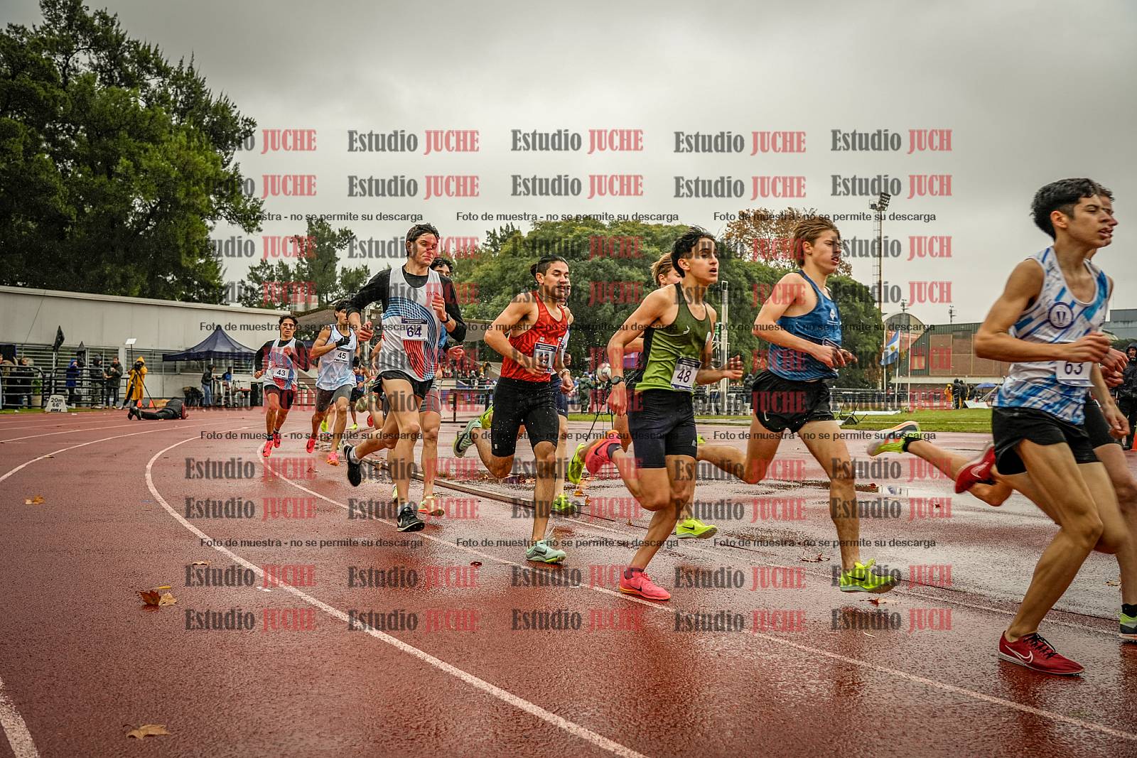 Fotos de los 1500 m llanos de varones