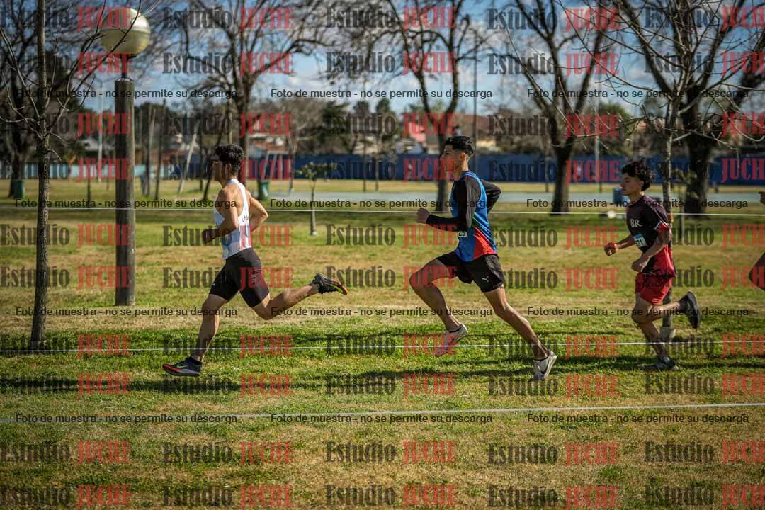 Fotos en el circuito