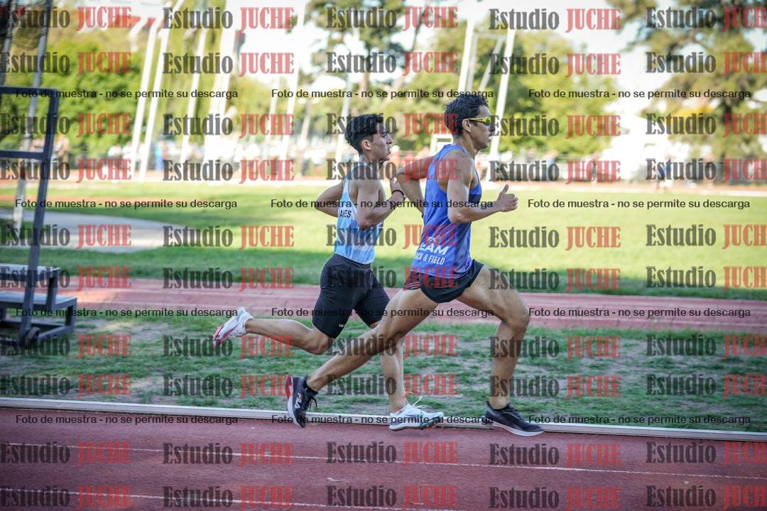 Fotos de los 3000 m llanos de varones