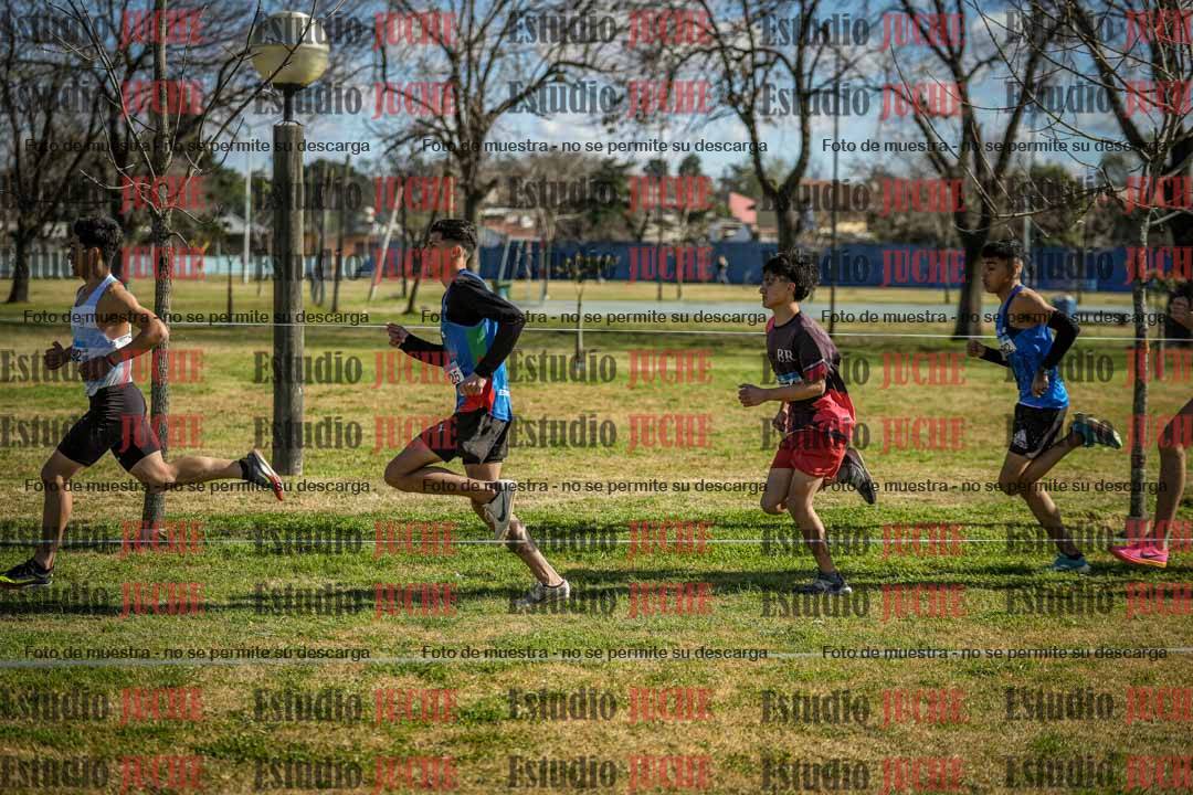 Fotos en el circuito